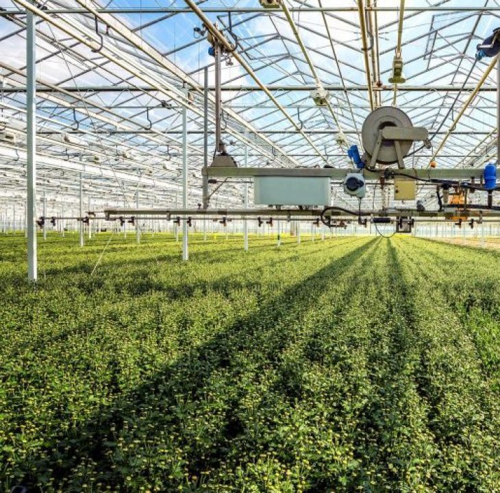 gallery/00427-730x487